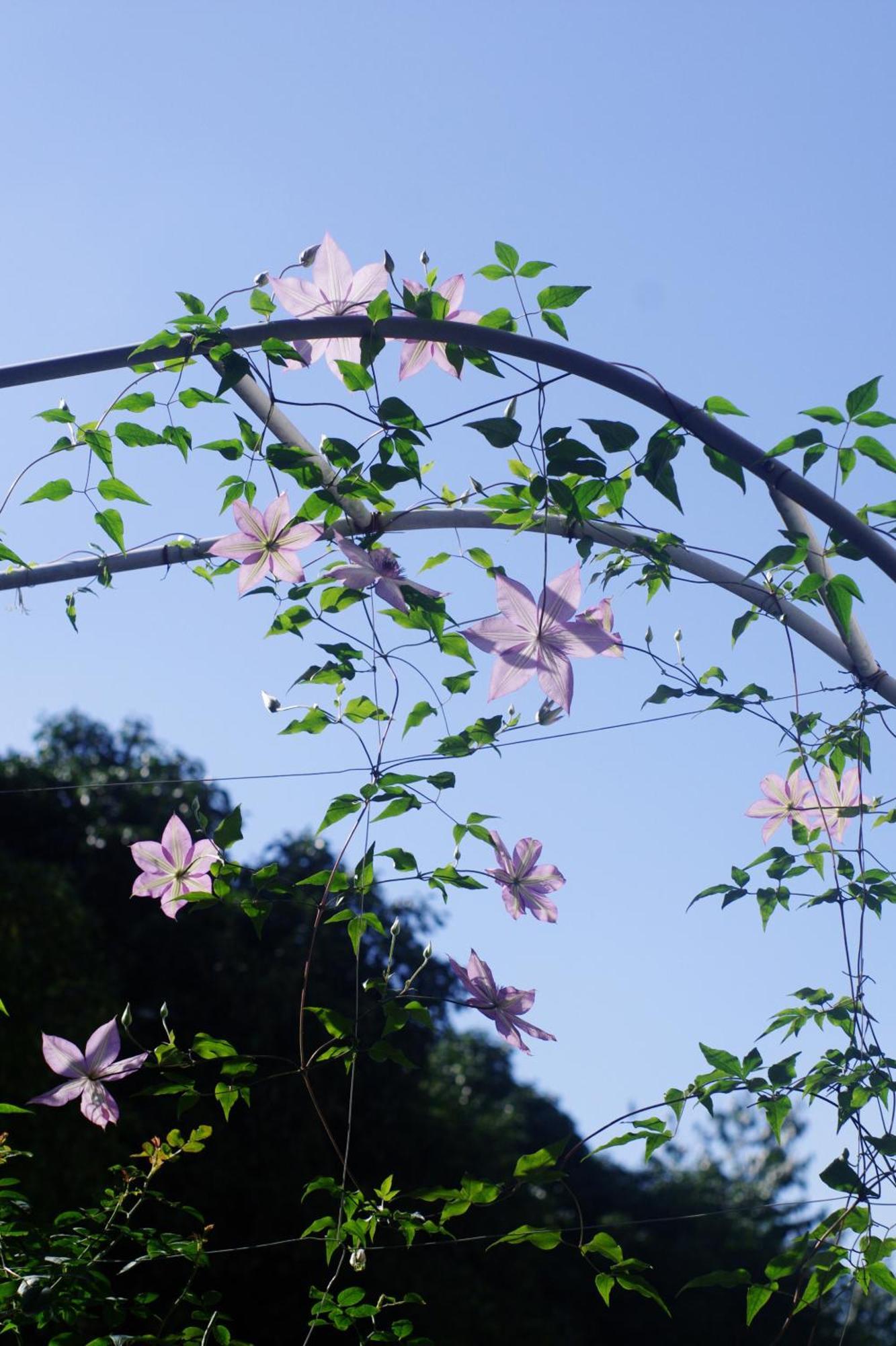 Hangzhou Jiuyueji Bed&Breakfast Buitenkant foto