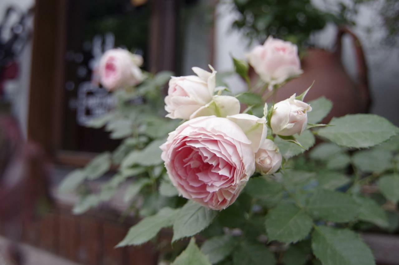 Hangzhou Jiuyueji Bed&Breakfast Buitenkant foto